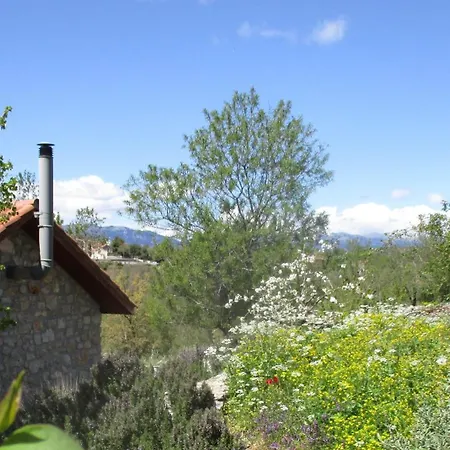 House In With Large Garden